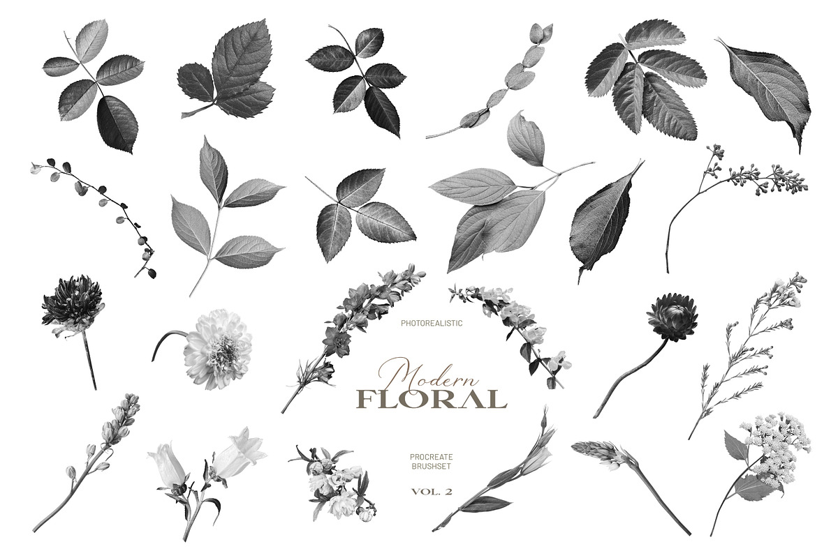 Modern Floral Procreate Brushes V2, a Brush Add-On by Eclectic Anthology (Photo 10 of 11)