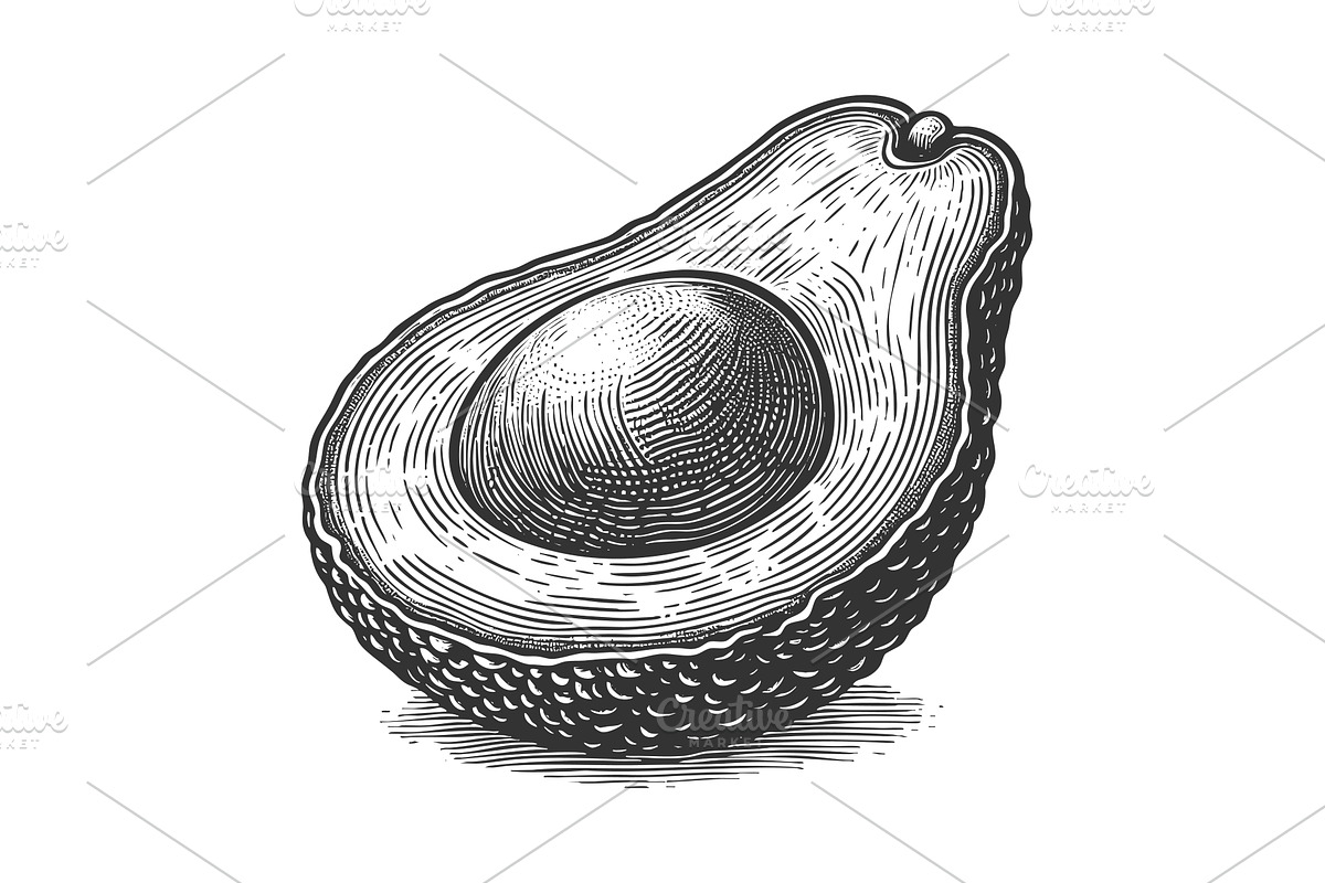half avocado fruit engraving vector, a Food Illustration by AlexArt