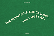 Wild Pines Park National Park Font, a Sans Serif Font by TYPEHEIST (Thumbnail 6 of 10)