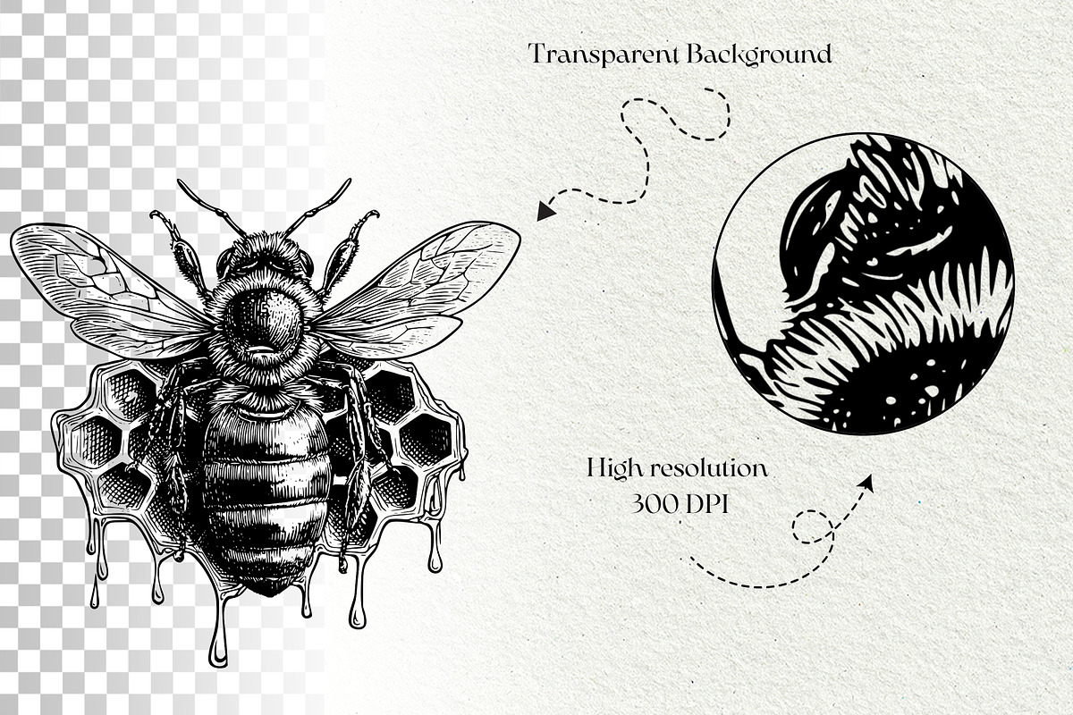 Honeycomb Bee SVG Graphics, a Decorative Illustration by DENIDigitalArtSudio (Photo 6 of 6)