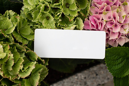 card mockup with hydrangeas, an Arts & Entertainment Photo by Arymer