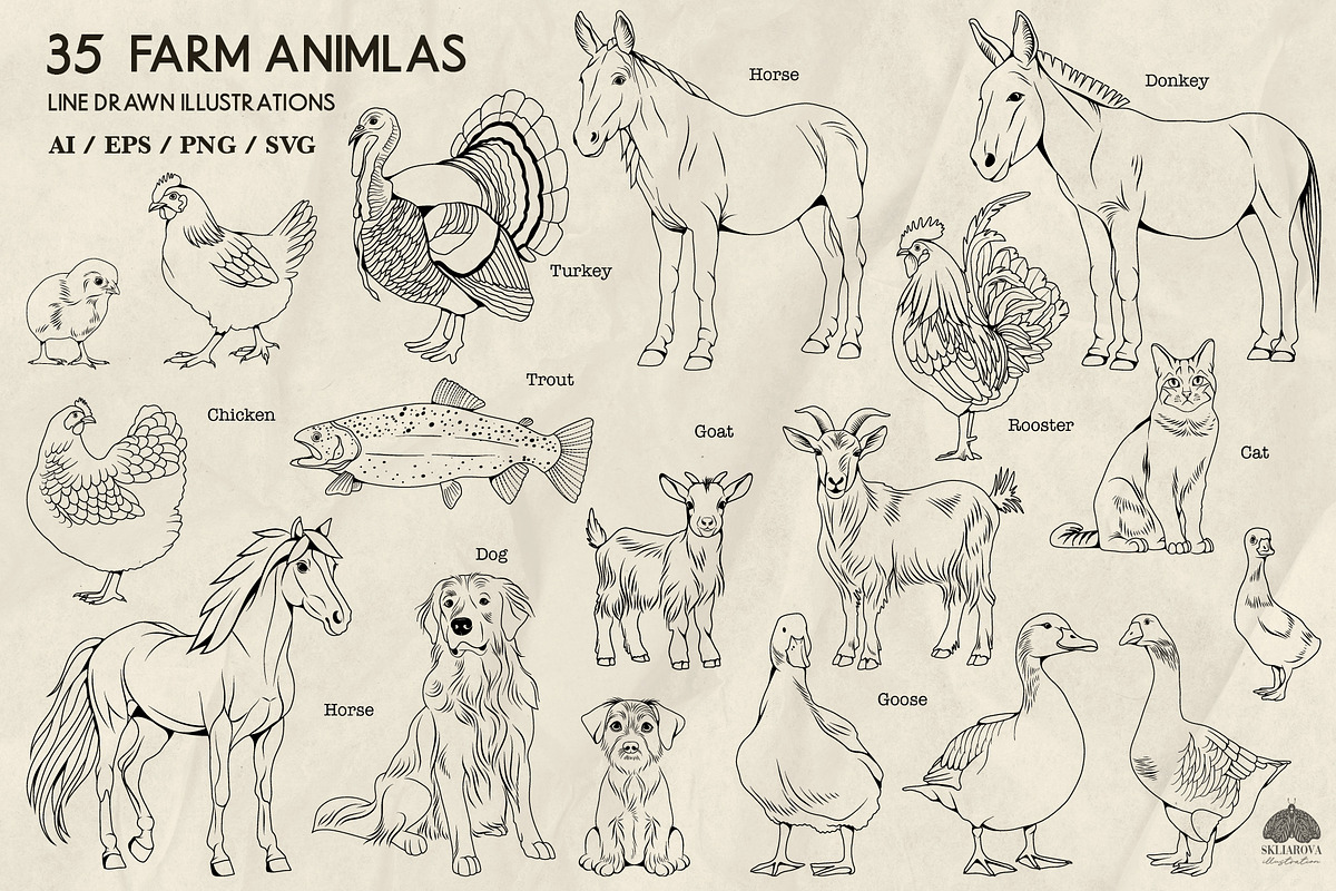 Farm Animals Line Art + Procreate, an Animal Illustration by Skliarova (Photo 3 of 3)