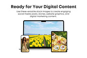 Yellow Aesthetic Stock Photos, a Beauty & Fashion Photo by Selenique Studio (Thumbnail 6 of 11)
