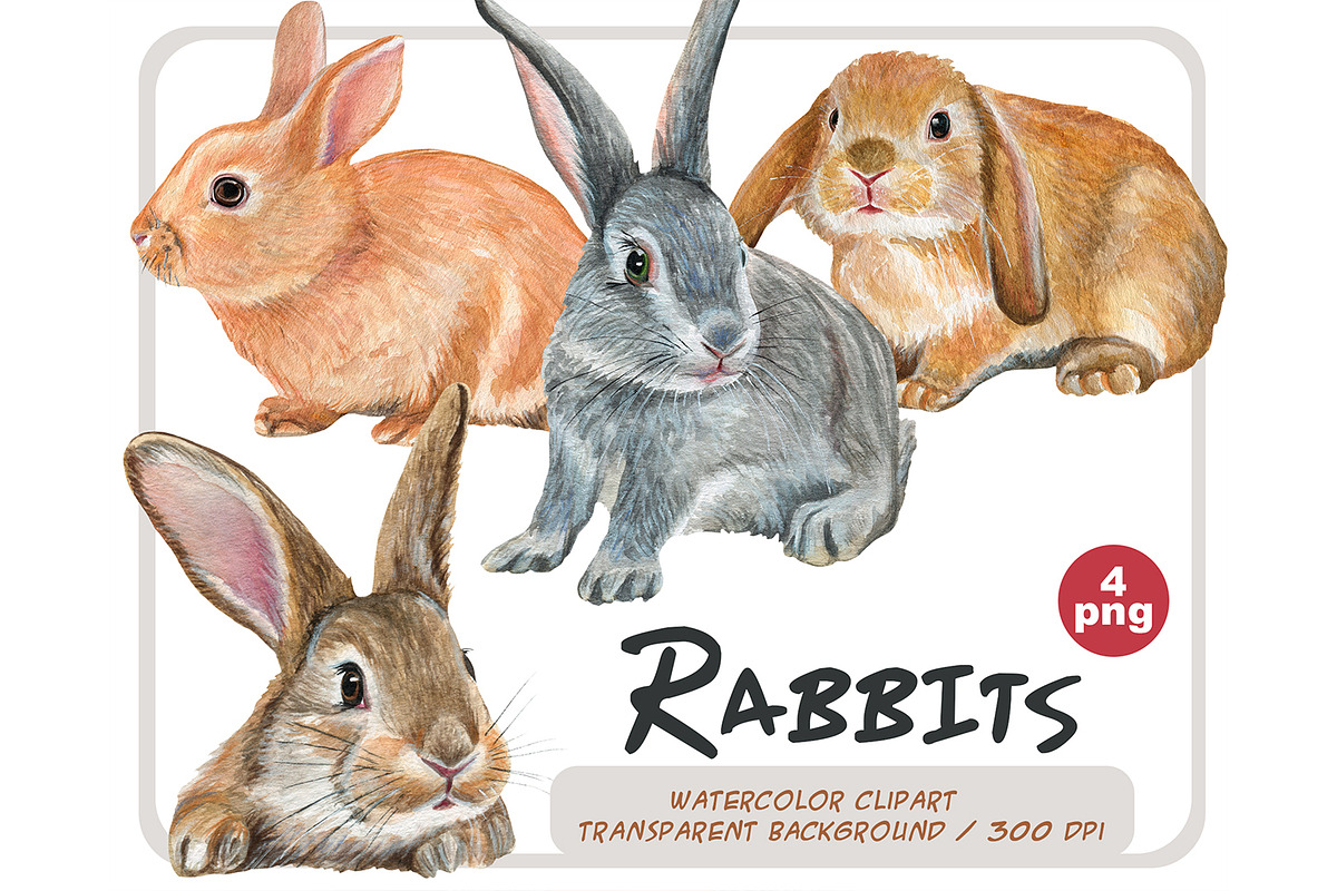 Watercolor Realistic Rabbits clipart, an Animal Illustration by ArtfulStudio (Photo 1 of 8)