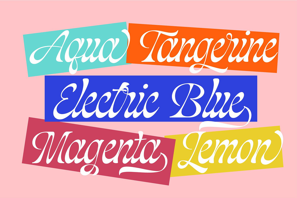 Blackshiny, a Script Font by ManType (Photo 5 of 7)