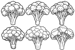 cauliflower florets and stalks, an Object Graphic by Billah Hub