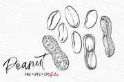 Nuts &  Health snacks, a Food Illustration by Ann Astro (Thumbnail 12 of 12)
