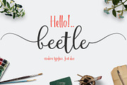 Calligraphy Big Bundle (95%off), a Script Font by groens (Thumbnail 23 of 46)