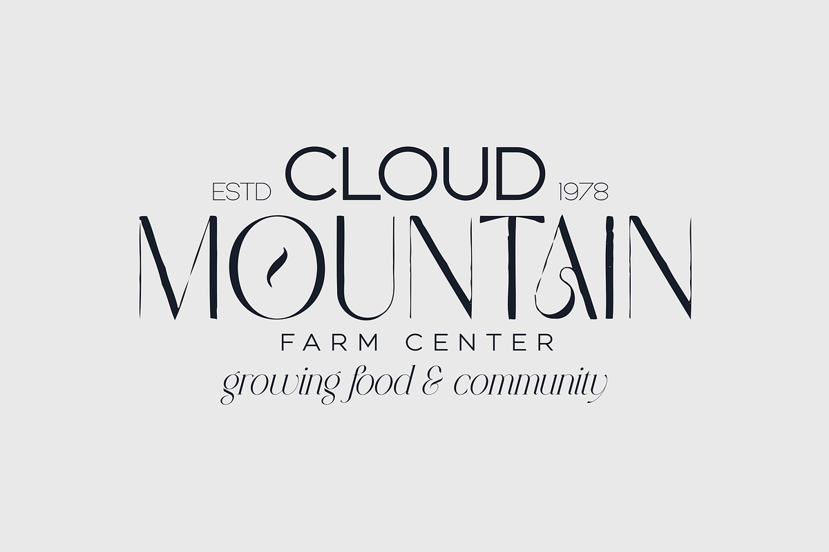 SALE! Modern Heritage font duo, a Serif Font by VP Fonts (Photo 14 of 23)