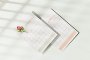 2025 Printable Calendar - Fynbos Art, a Stationery Template by CL Creative Studio (Thumbnail 7 of 9)