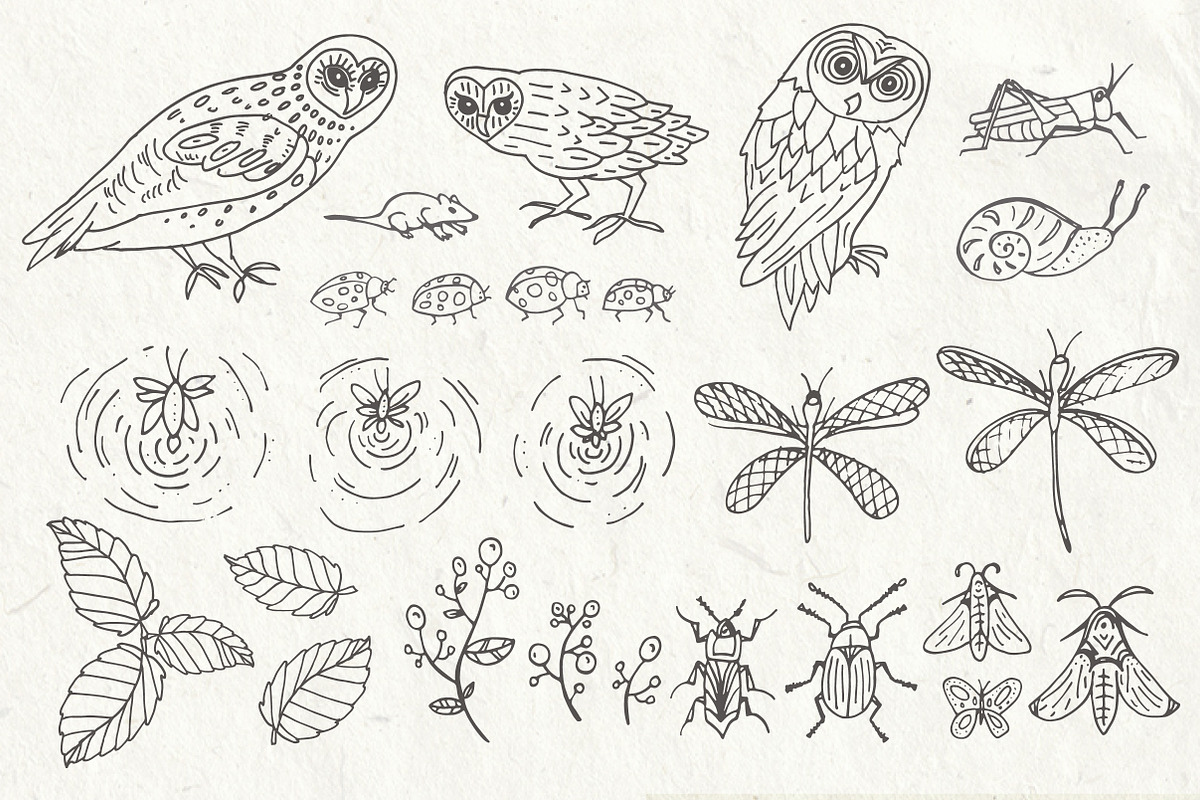 Night Creatures - Owl Clipart Vector, an Object Graphic by The Pen and Brush (Photo 6 of 7)