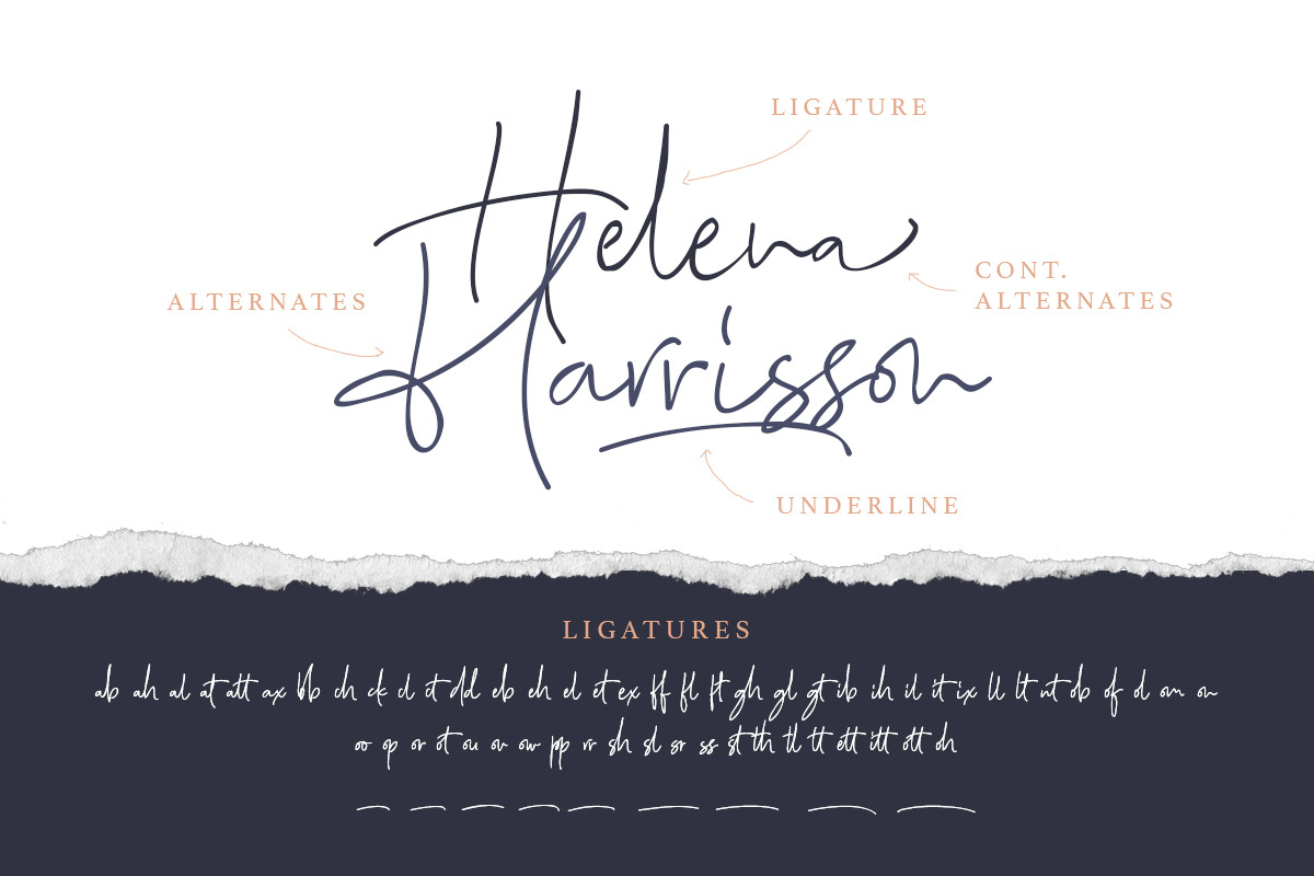 Bombalurina Script (4 Fonts), a Script Font by Sarid Ezra (Photo 2 of 9)