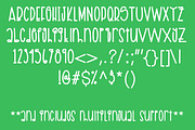 Apples & Pears, a Sans Serif Font by Sunkissed Minimalist (Thumbnail 4 of 5)