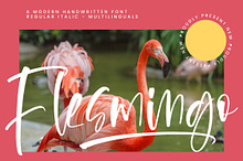Flesmingo