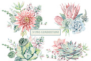 AMAZING SUCCULENTS Watercolor set, an Illustration by Lemaris (Thumbnail 3 of 9)