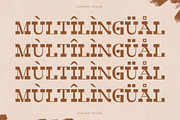 Strong Frame New Slab Serif Font, a Slab Serif Font by Storytype Studio (Thumbnail 12 of 15)