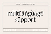 Charles - Chic Ligature Serif Font, a Serif Font by SilverStag Type Foundry (Thumbnail 23 of 31)