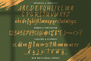Raffles Bryant - Textured Brush Font, a Handwritten Font by StringLabs (Thumbnail 11 of 12)