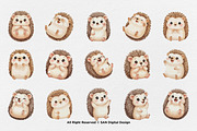 15 Bundle Watercolor Hedgehog Animal, an Animal Illustration by Morspective (Thumbnail 8 of 8)
