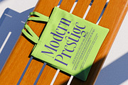 Most Pixels Modern Elegant Serif, a Serif Font by timelesstype.co (Thumbnail 5 of 15)