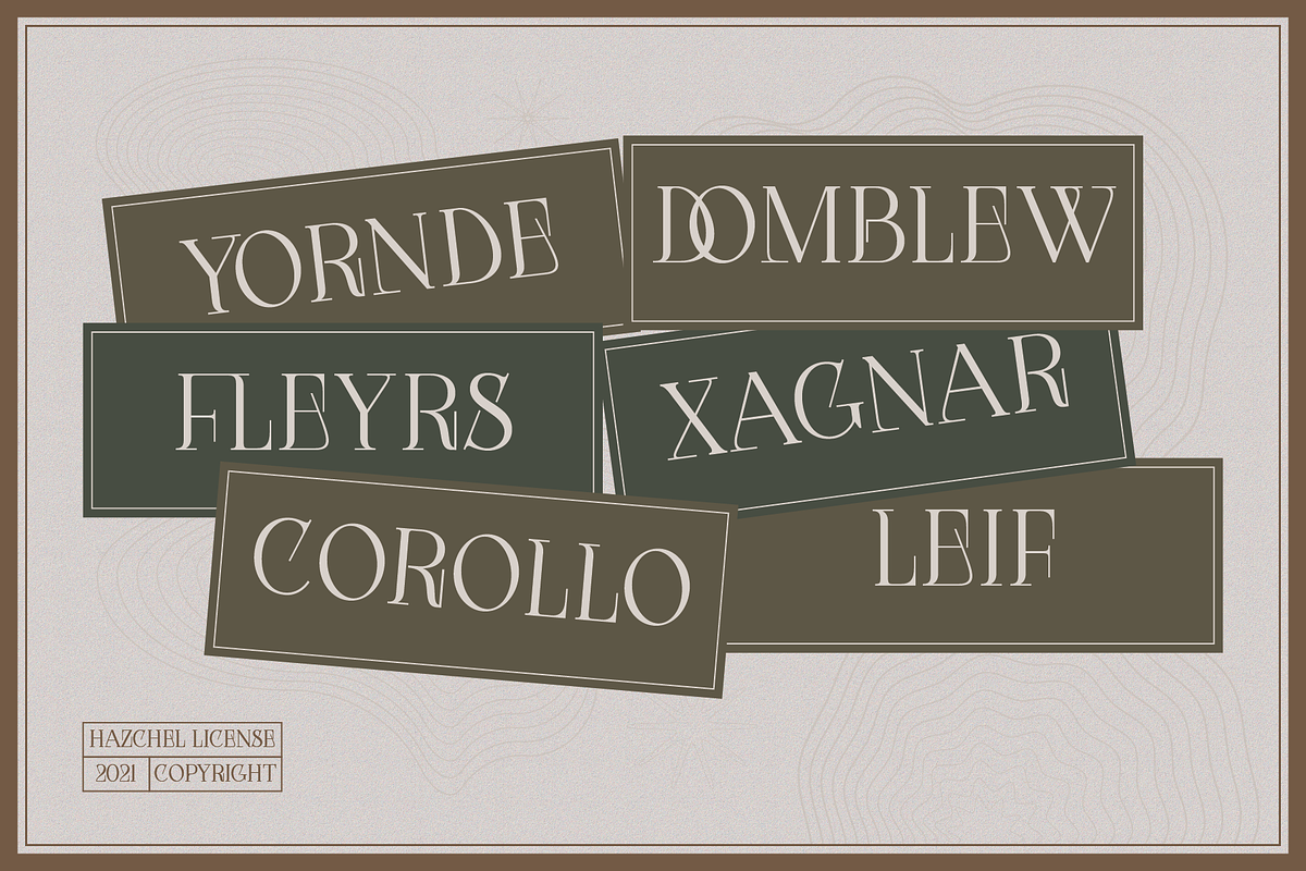 Hazchel, a Serif Font by Amera Type (Photo 7 of 11)