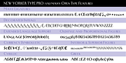 New Yorker Type Pro, a Serif Font by Wiescher-Design (Thumbnail 8 of 8)