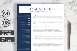 Resume Template Word And Pages