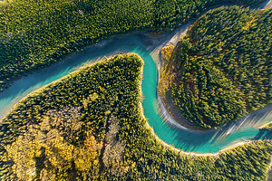 Aerial view. Banff National Park