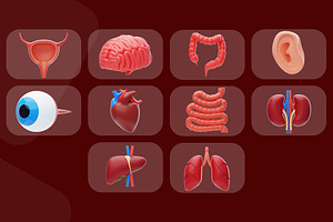 Human Organ Icon Pack