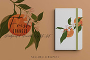 Fresh Oranges Clip art Set, a Graphic by SmallHouseBigPony (Thumbnail 6 of 9)