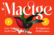Mactge Modern Serif Display Font