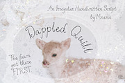 Dappled Quill Handwritten Font, a Handwritten Font by Mneme (Thumbnail 1 of 7)