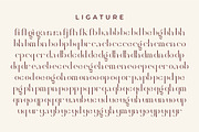 Fragier unique ligature serif font, a Serif Font by suhadidesign (Thumbnail 14 of 14)