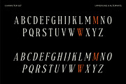 Voracity - Serif Display Font, a Serif Font by Brainwaves.Studio (Thumbnail 3 of 9)