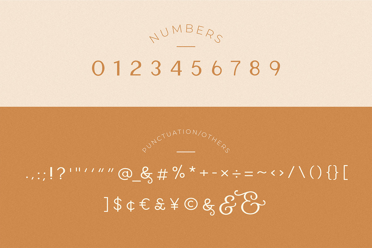 Carla Sans - Elegant Typeface, a Sans Serif Font by Creative Corner (Photo 24 of 26)