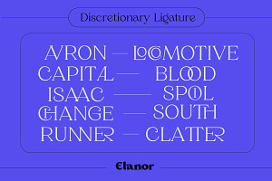 Elanor - Retro Font Classy Elegant