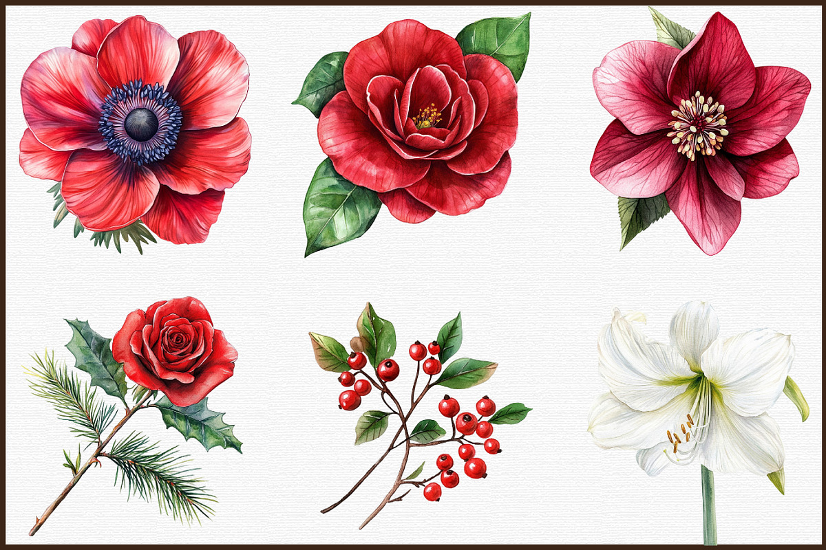 Watercolor Christmas Flowers Clipart, an Illustration by Sublimation Artist (Photo 3 of 6)