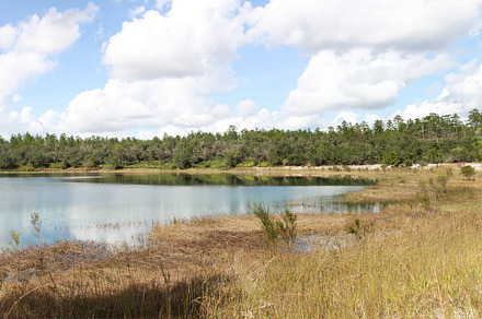 Lake in Gold Head Branch State Park