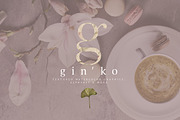 GIN'KO Textured Watercolor Graphics, an Object Graphic by studioequinox (Thumbnail 1 of 9)
