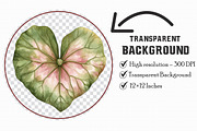 Watercolor Lotus Clipart, an Illustration by Libby Wishes (Thumbnail 7 of 7)