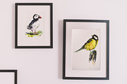 Birds watercolor illustrations, an Animal Illustration by Vero Arts (Thumbnail 5 of 11)