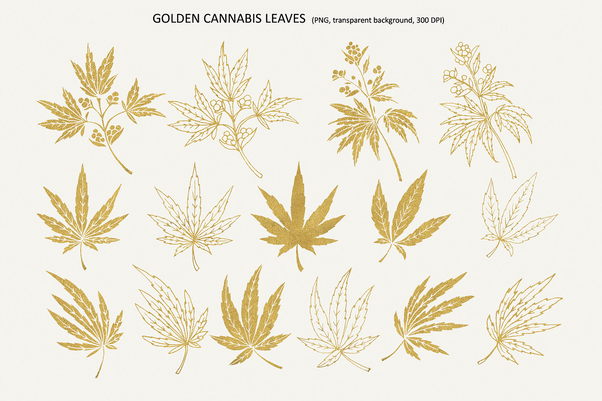 CANNABIS / MARIJUANA BUNDLE, a Decorative Illustration by Elena_Sedova (Photo 6 of 30)