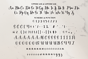Dustine | Script Font, a Handwritten Font by Scratchones (Thumbnail 7 of 9)