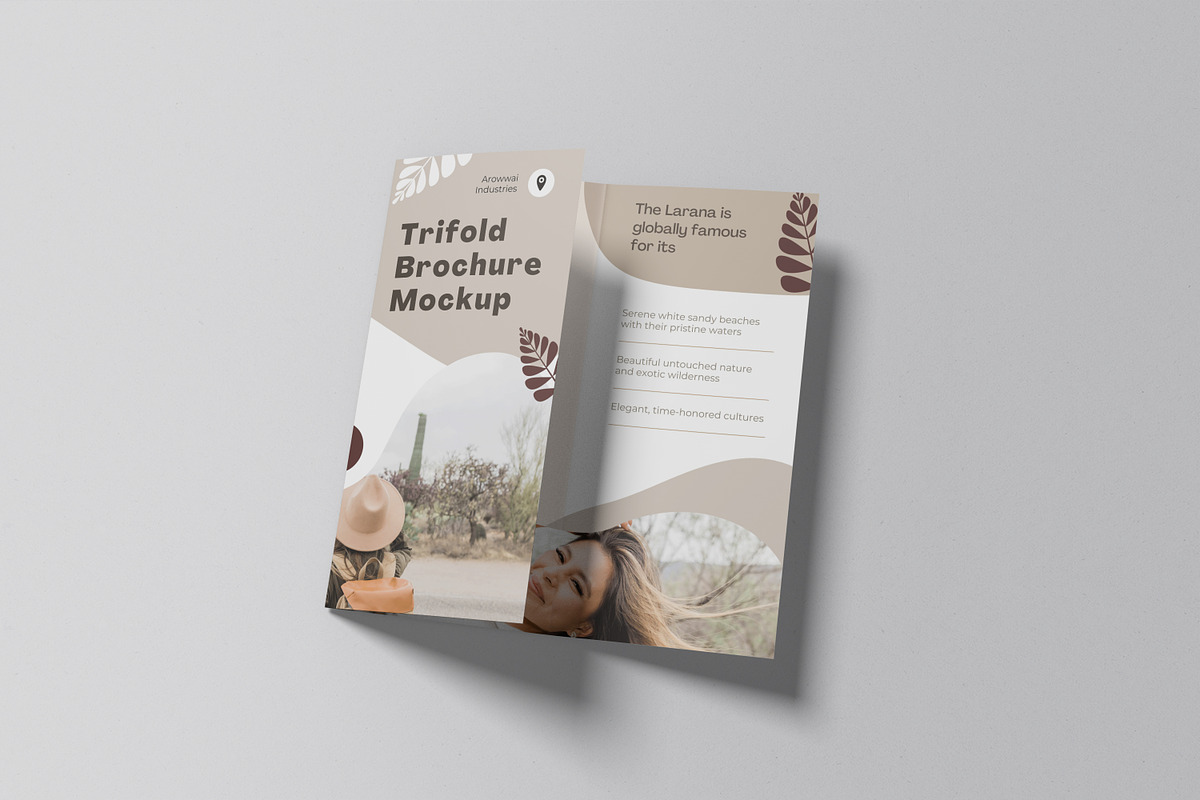 Trifold Brochure Mockup, a Brochure Template by Amigos__46 (Photo 7 of 14)