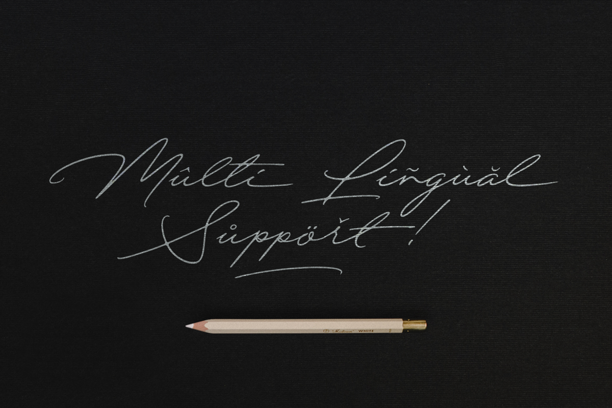 Quick Signature Pro, a Script Font by Hendra Pratama (Photo 16 of 20)