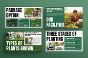 Agriculture Presentation Template, a Presentation Template by E-Type (Thumbnail 4 of 5)