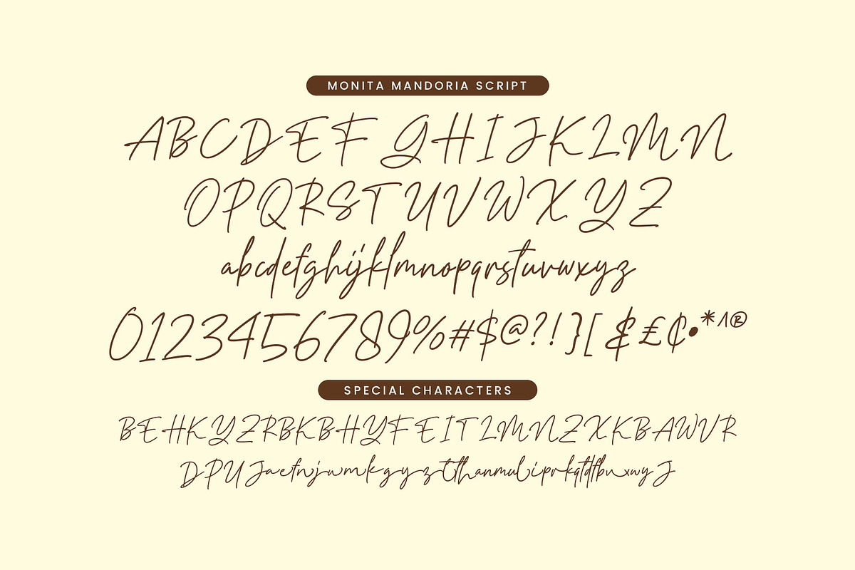Monita Mandoria, a Font by Novitype (Photo 15 of 15)