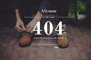 Alysum - eCommerce PSD template, a Websites & App Template by Promokit (Thumbnail 26 of 30)