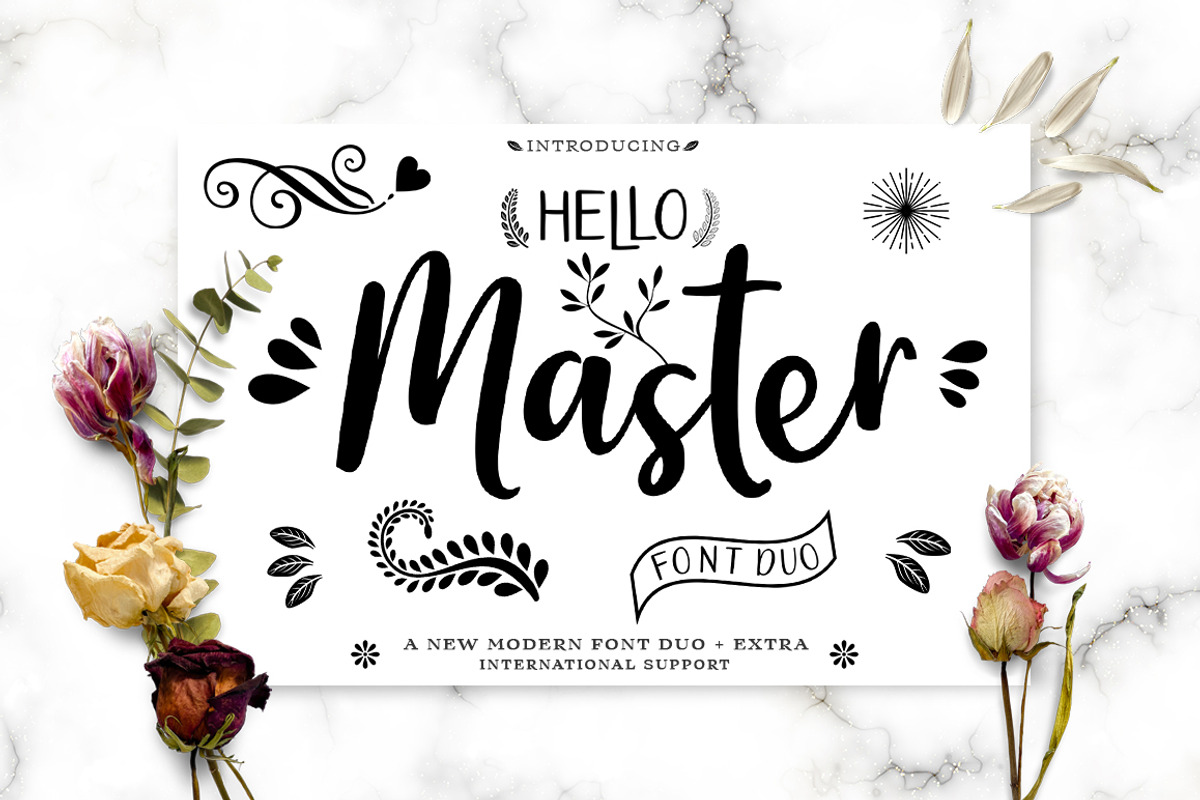 Hello Master FONT DUO with Doodle, a Script Font by Alpha Bento (Photo 1 of 8)