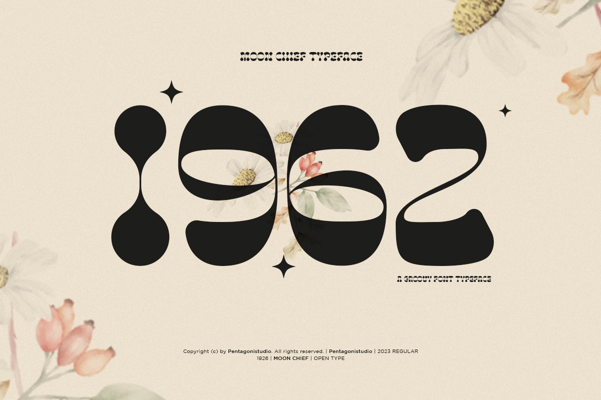 Moon Chief | Groovy Display, a Serif Font by Pentagonistudio (Photo 2 of 11)
